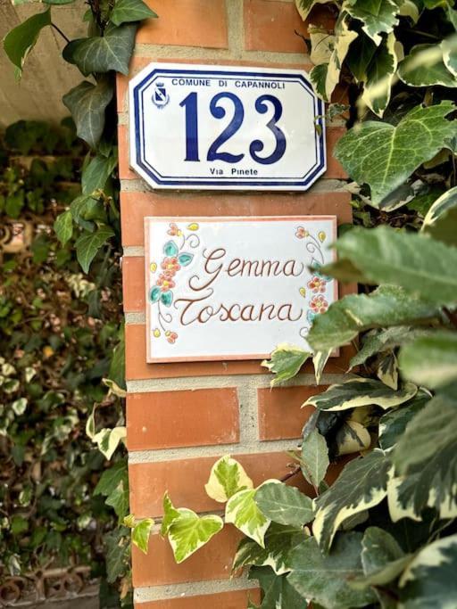 Gemma Toscana * Capannoli